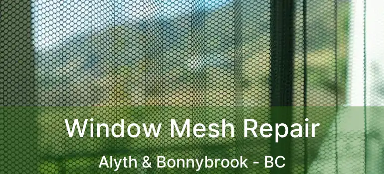  Window Mesh Repair Alyth & Bonnybrook - BC
