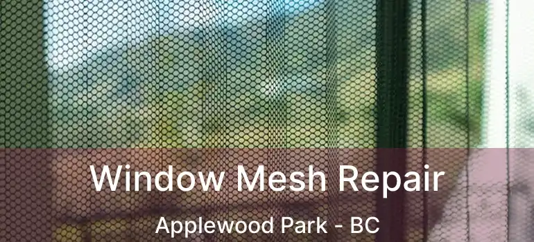  Window Mesh Repair Applewood Park - BC