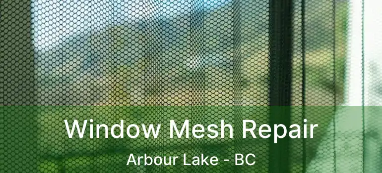  Window Mesh Repair Arbour Lake - BC