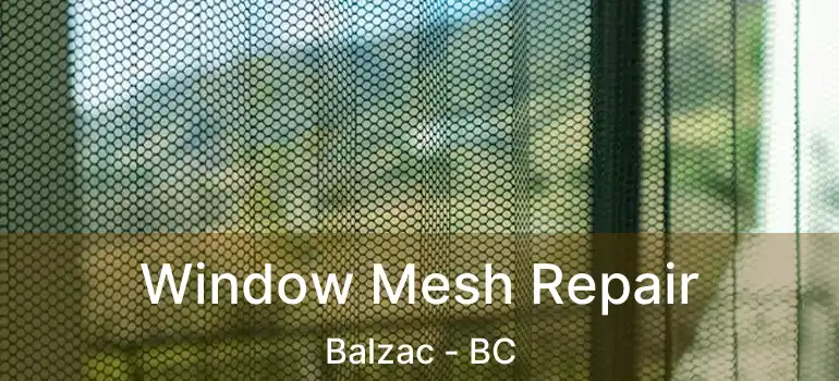  Window Mesh Repair Balzac - BC