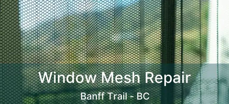  Window Mesh Repair Banff Trail - BC