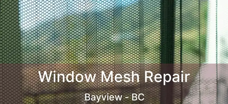  Window Mesh Repair Bayview - BC