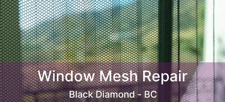  Window Mesh Repair Black Diamond - BC