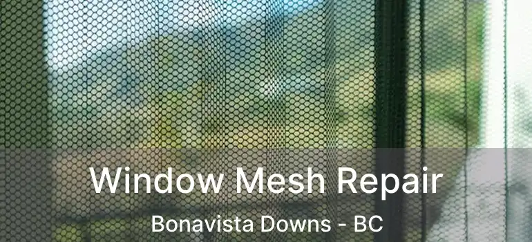  Window Mesh Repair Bonavista Downs - BC