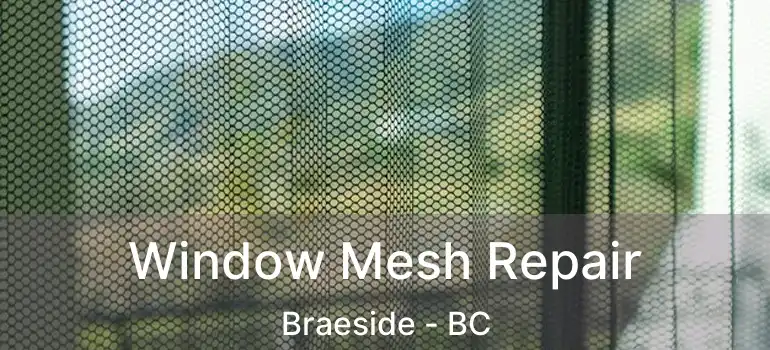  Window Mesh Repair Braeside - BC