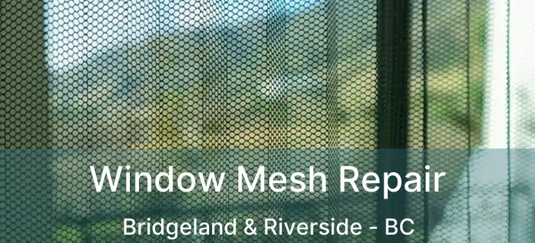  Window Mesh Repair Bridgeland & Riverside - BC