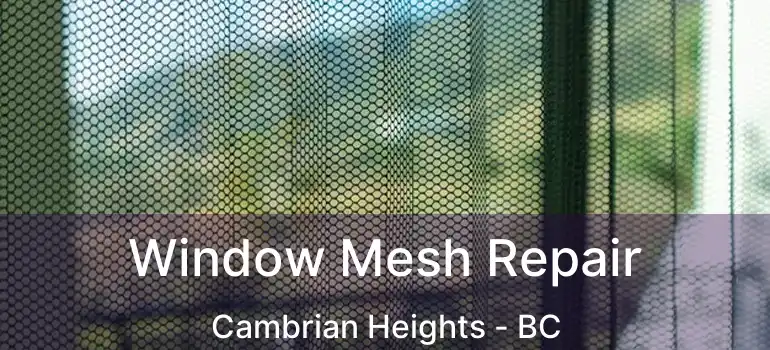  Window Mesh Repair Cambrian Heights - BC