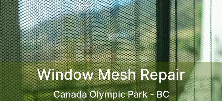  Window Mesh Repair Canada Olympic Park - BC
