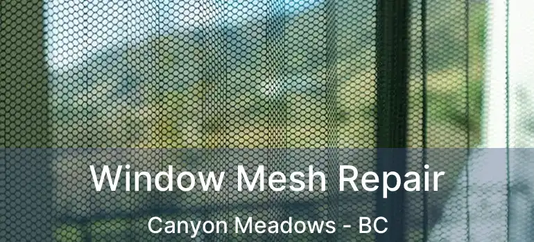  Window Mesh Repair Canyon Meadows - BC