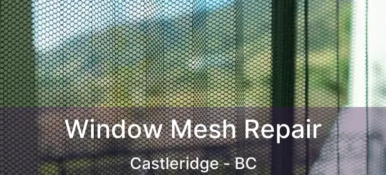  Window Mesh Repair Castleridge - BC