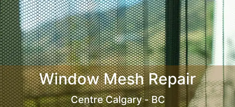  Window Mesh Repair Centre Calgary - BC