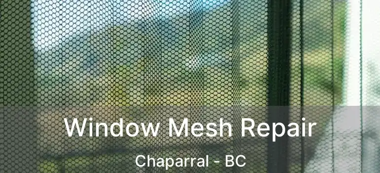  Window Mesh Repair Chaparral - BC