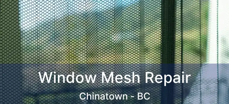  Window Mesh Repair Chinatown - BC