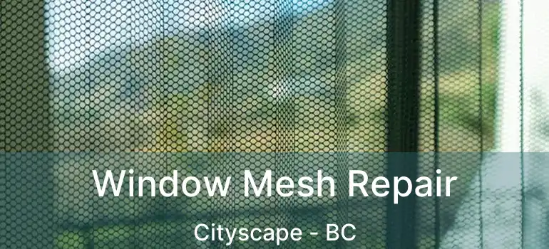  Window Mesh Repair Cityscape - BC