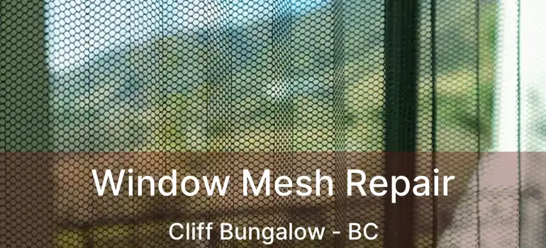  Window Mesh Repair Cliff Bungalow - BC