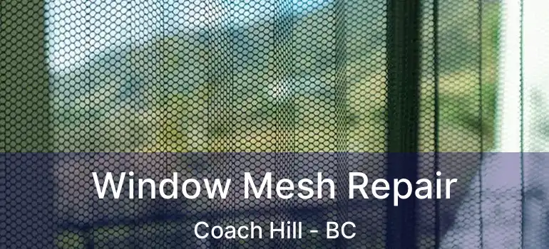  Window Mesh Repair Coach Hill - BC