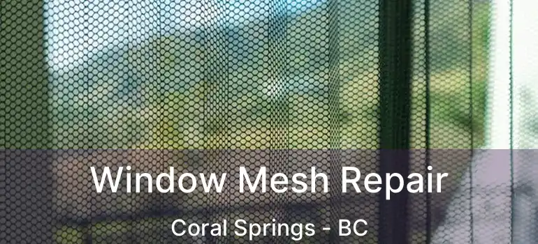  Window Mesh Repair Coral Springs - BC
