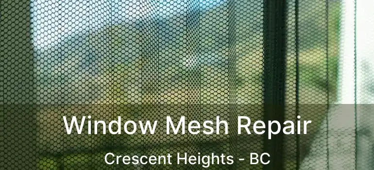  Window Mesh Repair Crescent Heights - BC