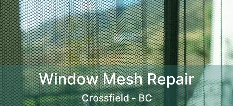  Window Mesh Repair Crossfield - BC