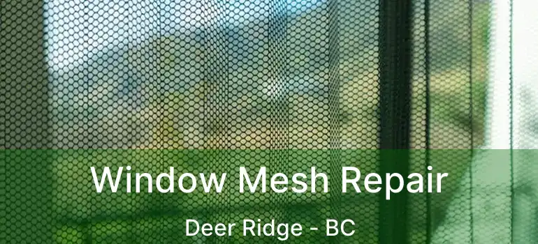  Window Mesh Repair Deer Ridge - BC