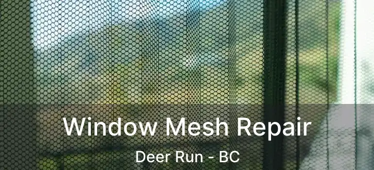  Window Mesh Repair Deer Run - BC