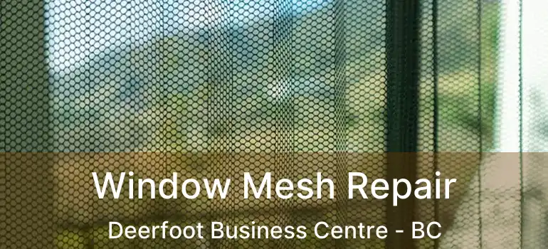  Window Mesh Repair Deerfoot Business Centre - BC