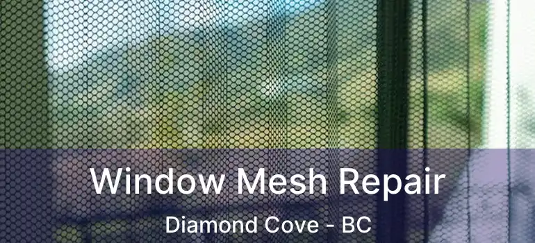  Window Mesh Repair Diamond Cove - BC