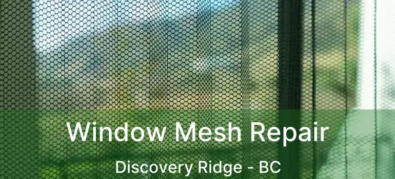 Window Mesh Repair Discovery Ridge - BC