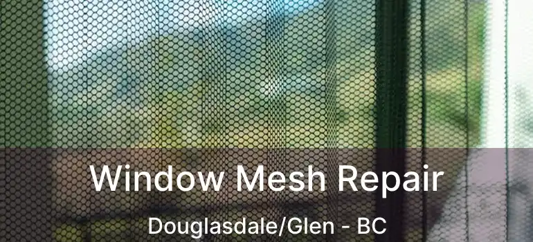  Window Mesh Repair Douglasdale/Glen - BC