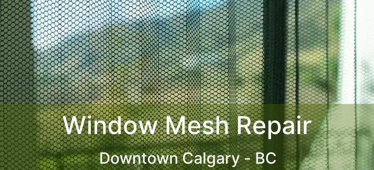  Window Mesh Repair Downtown Calgary - BC