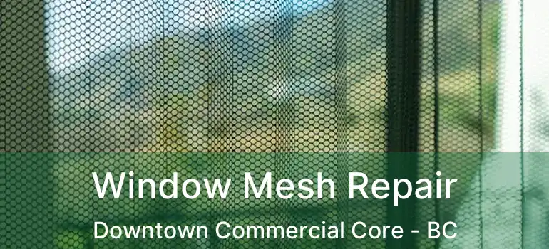  Window Mesh Repair Downtown Commercial Core - BC