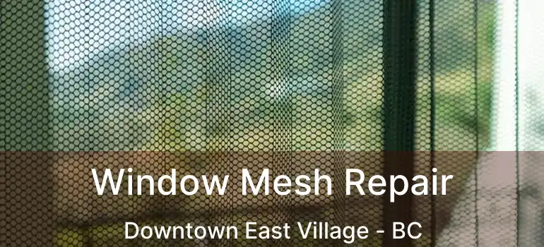  Window Mesh Repair Downtown East Village - BC