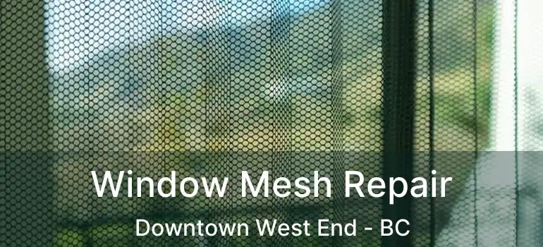  Window Mesh Repair Downtown West End - BC