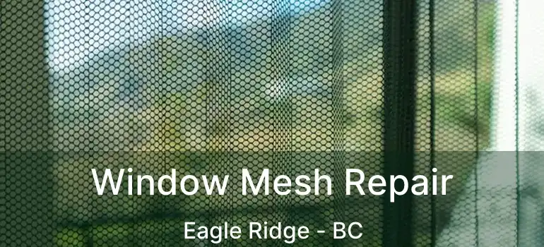  Window Mesh Repair Eagle Ridge - BC
