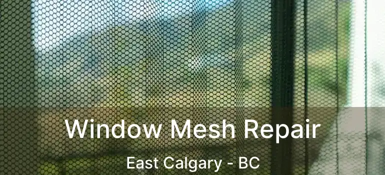  Window Mesh Repair East Calgary - BC