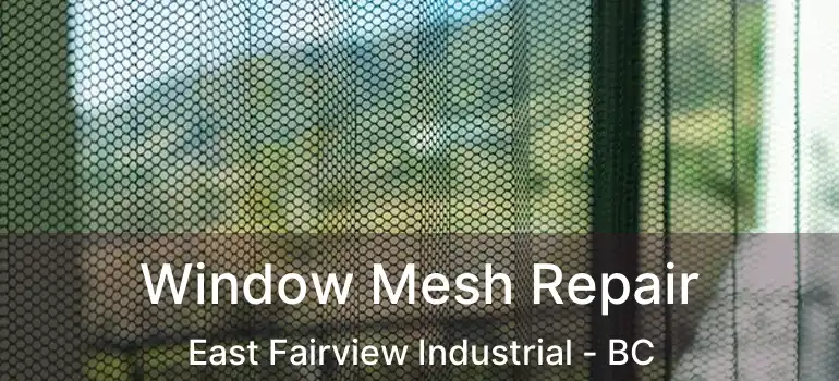  Window Mesh Repair East Fairview Industrial - BC