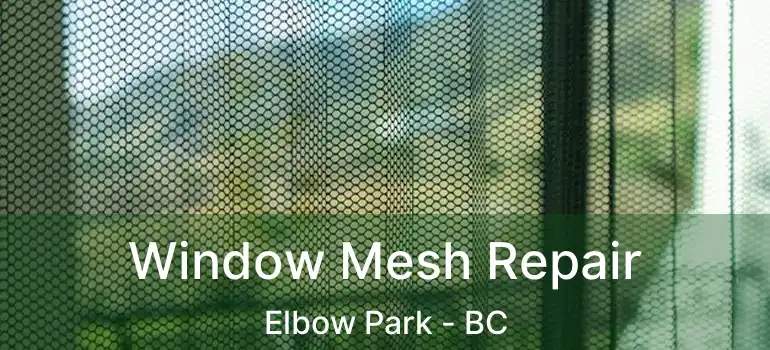 Window Mesh Repair Elbow Park - BC