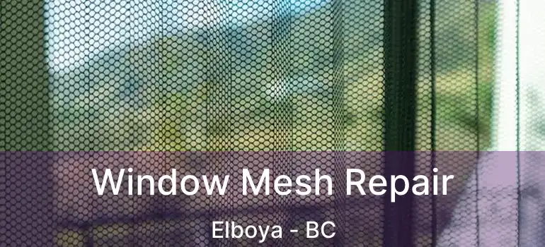  Window Mesh Repair Elboya - BC