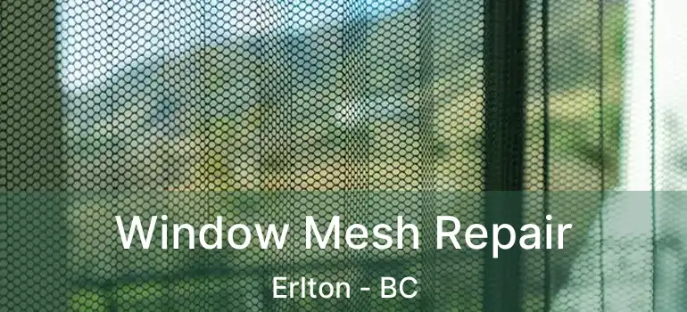  Window Mesh Repair Erlton - BC