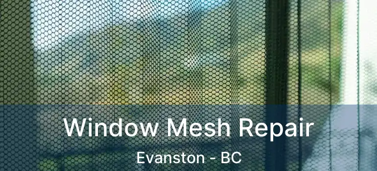  Window Mesh Repair Evanston - BC