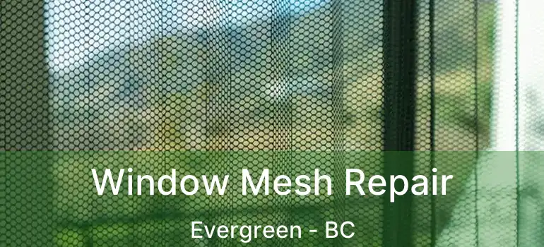  Window Mesh Repair Evergreen - BC