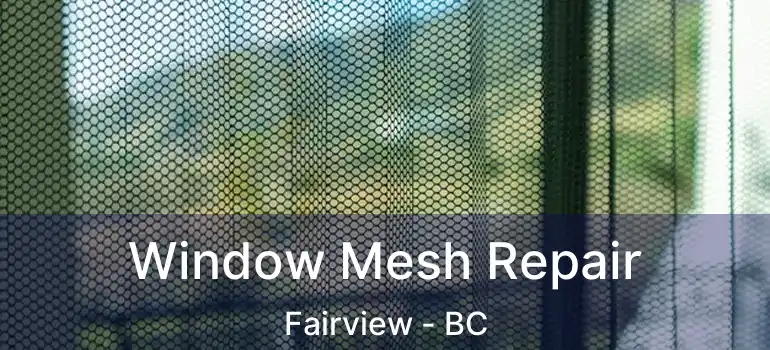  Window Mesh Repair Fairview - BC