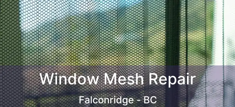 Window Mesh Repair Falconridge - BC