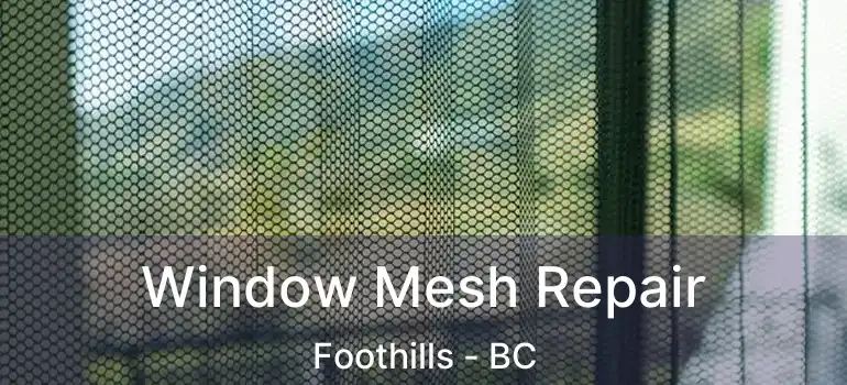  Window Mesh Repair Foothills - BC
