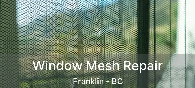  Window Mesh Repair Franklin - BC