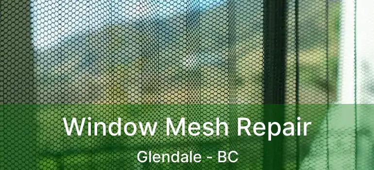  Window Mesh Repair Glendale - BC