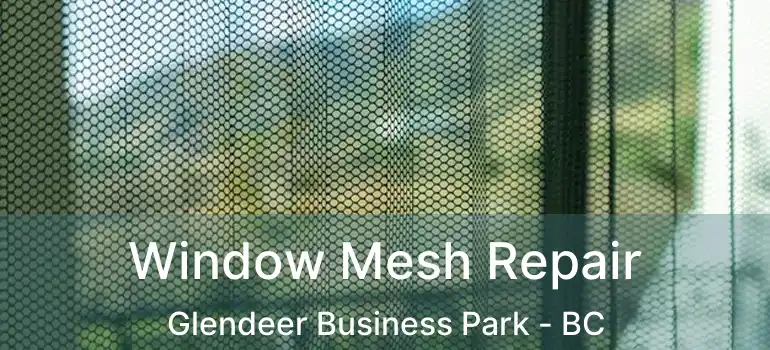  Window Mesh Repair Glendeer Business Park - BC
