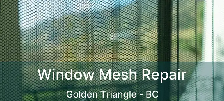  Window Mesh Repair Golden Triangle - BC