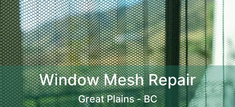  Window Mesh Repair Great Plains - BC