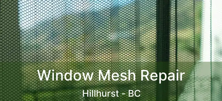  Window Mesh Repair Hillhurst - BC
